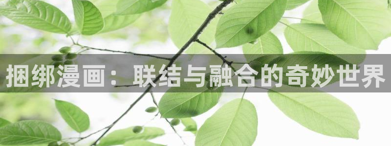 嘿咻漫画韩国漫画
