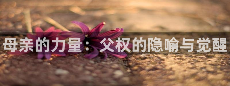 韩国漫画免费观看在线入口