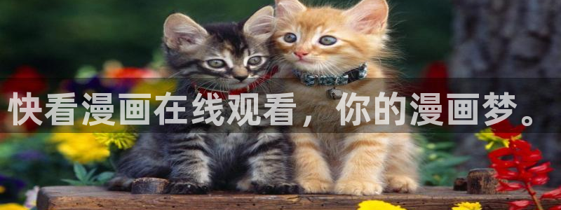 韩国漫画网站推荐